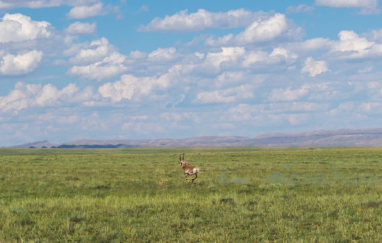 40 Acres Sweetwater County, Wyoming