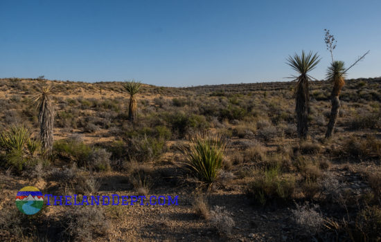 20 Acres In Brewster County, Texas