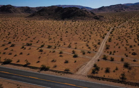 8.03 Acre Desert Oasis