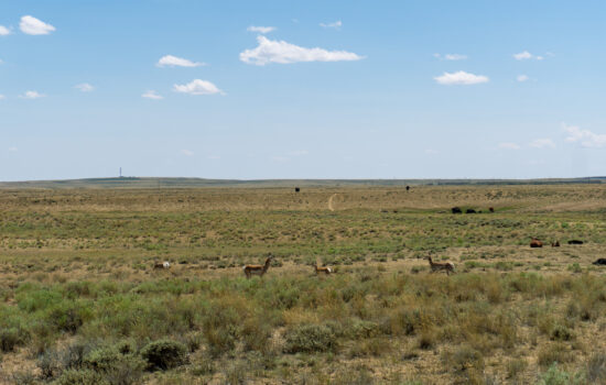 Welcome to the Open Plains: 40-Acre Flat Land in Sweetwater County, WY